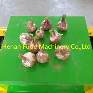 garlic root stem cutting machine, fresh garlic root stem cutter