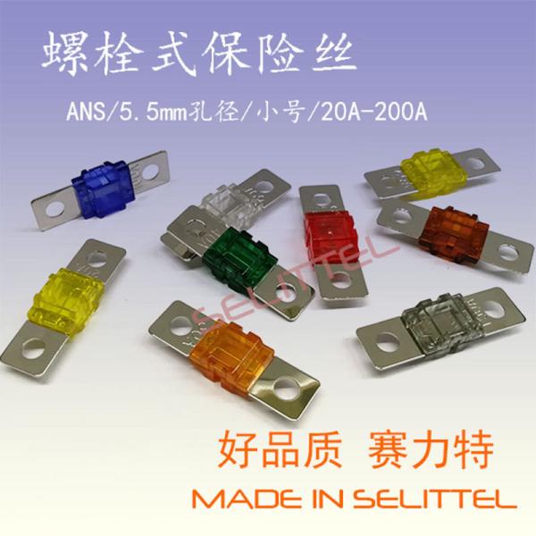 ANS Slow Breaking Fork Bolt Electric Vehicle Fuse 20A - 200A For Low Voltage
