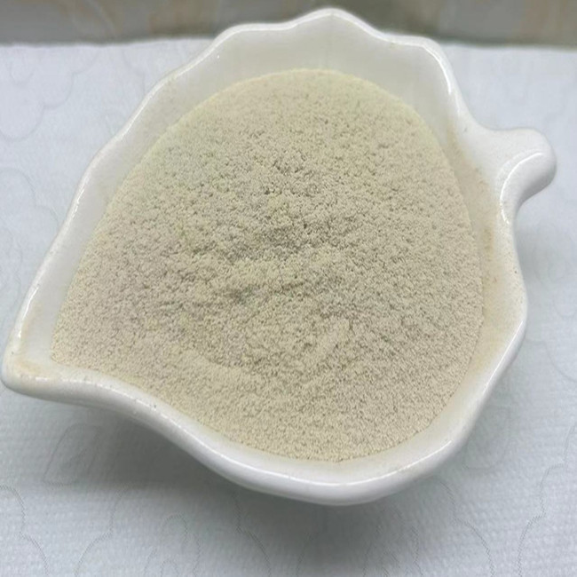 Fish Meal Replacement Fish Protein Feed Additives With Organic Nitrogen 12.8%