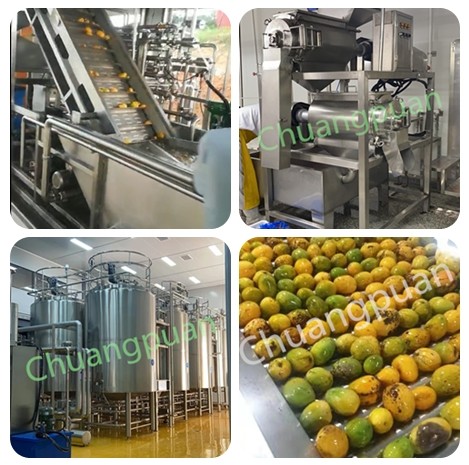 Fruit Processing Stainless Steel Mango Juice Production Line