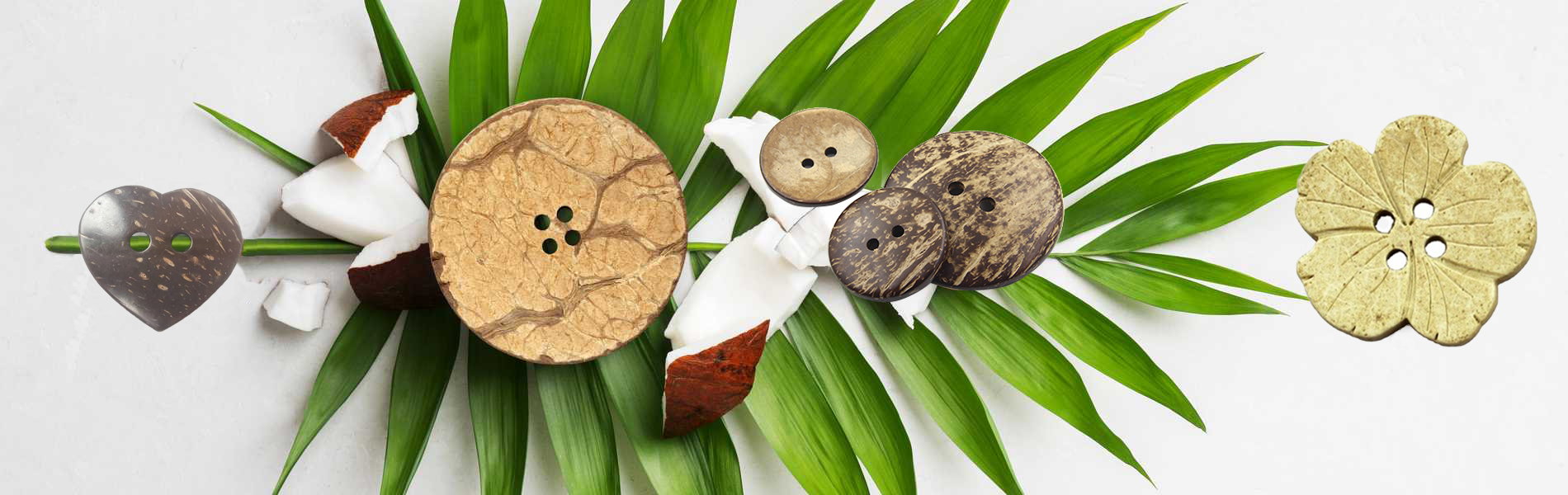 coconut buttons