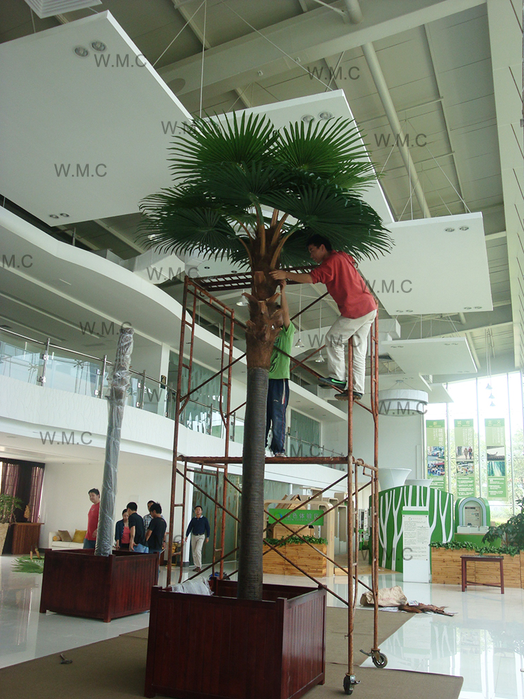 palm tree.jpg