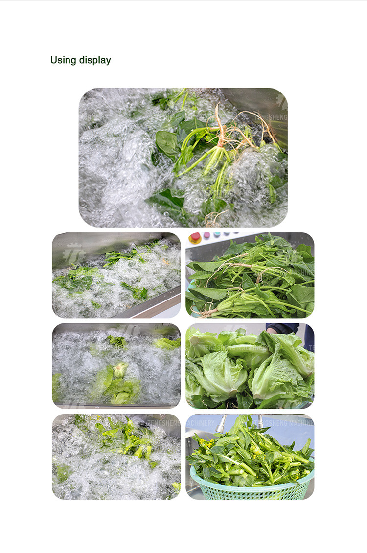 85KG 0.55KW Small vegetable does not cover an area of fruit and vegetable ozone washing machine hot washing machine