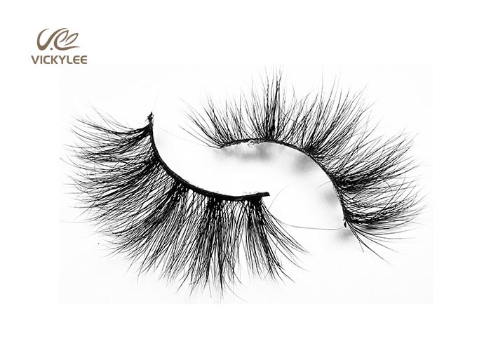Mink Hairs Fan Shaped 100% Handmade 6D Volume Lashes
