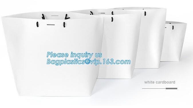 OEM Logo Printed Paper Packaging Bag Custom Good Quality Flower Carrier Bag,Art Paper Flower Carrier Bag Shopping Bags W