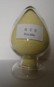 China factory supply Scutellaria Root Extract 85% Baicalin powder on sale