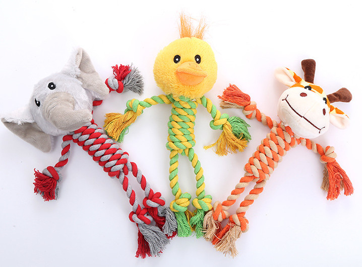 dog chew toy