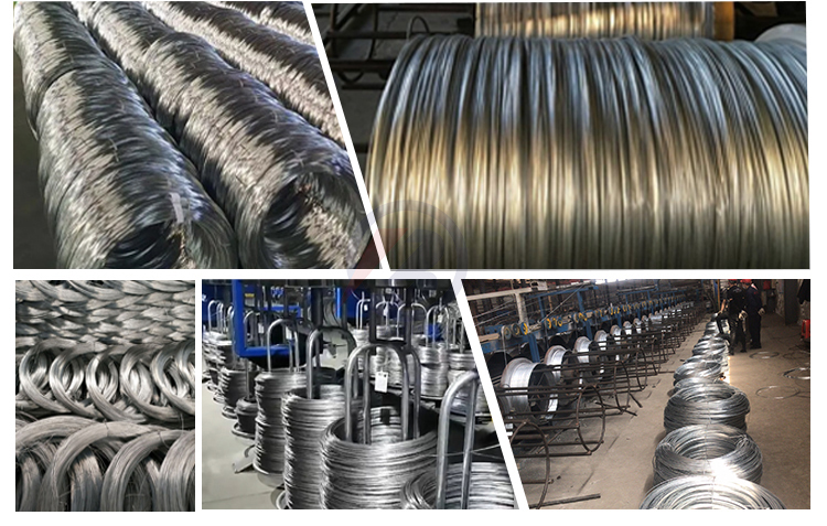 ASTM Standard Ms Hot Dipped Electro Gi Galvanized Steel Wire with AISI 1008 1006 0.3mm 2mm 4mm in Barbed Wire