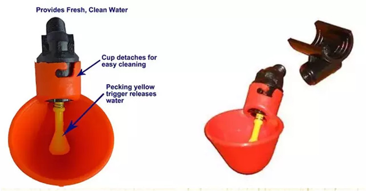 Automatic Quail Cup A Water Poultry Drinker House Accessories
