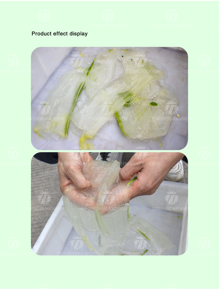 1500KG/H Large supply of peeling machine peeling aloe vera peeling machine yield large peeling effect