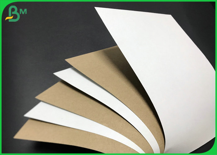 Recyclable kraft 170g 200g White Surface test liner board for Packaging Carton 