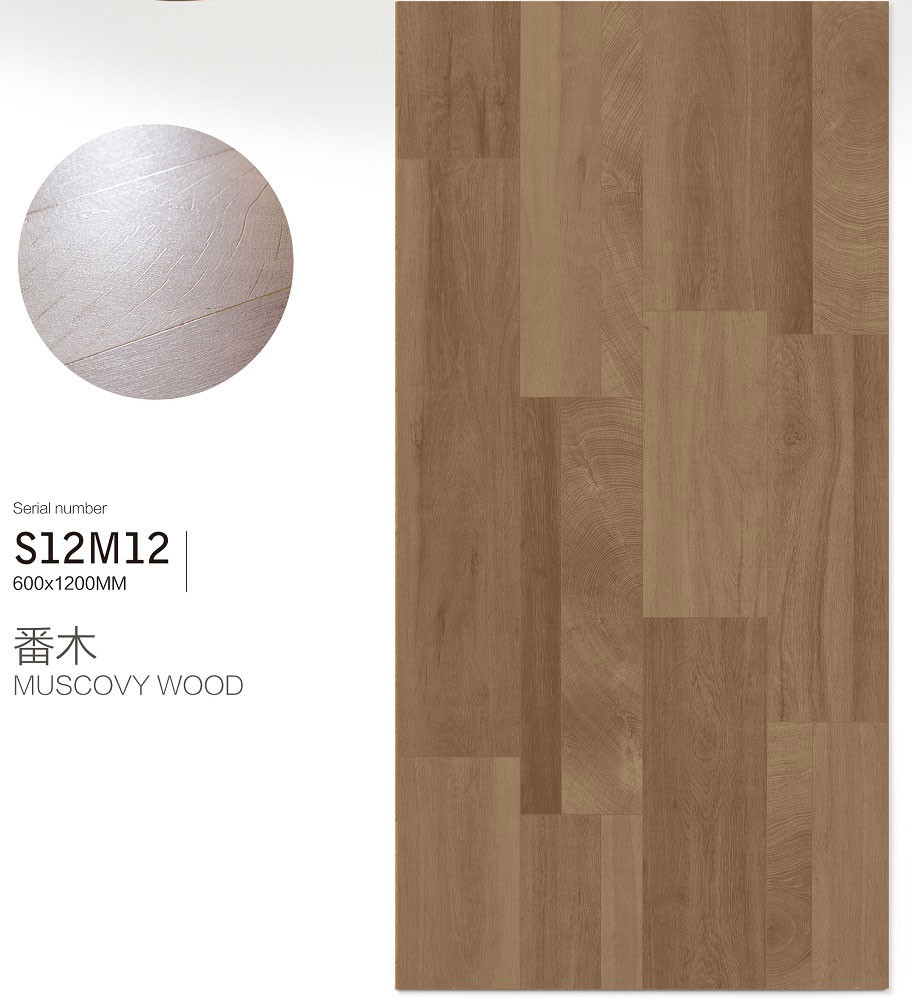Water-Proof Tiles And Anti-Slip Outdoor Wall Wood Look Porcelain Tile 600x1200mm For Apartment