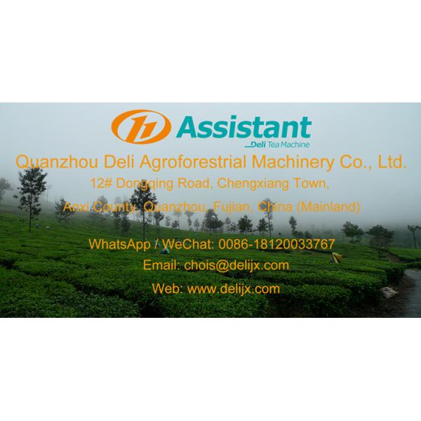 DL-4C-T Mitsubishi 2 Stroke Gasoline Engine Tea Harvester Machine for Tea Harvesting