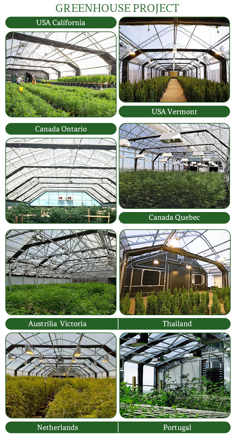 Anti UV PE Film Light Deprivation Greenhouse With Automatic Ventilation System
