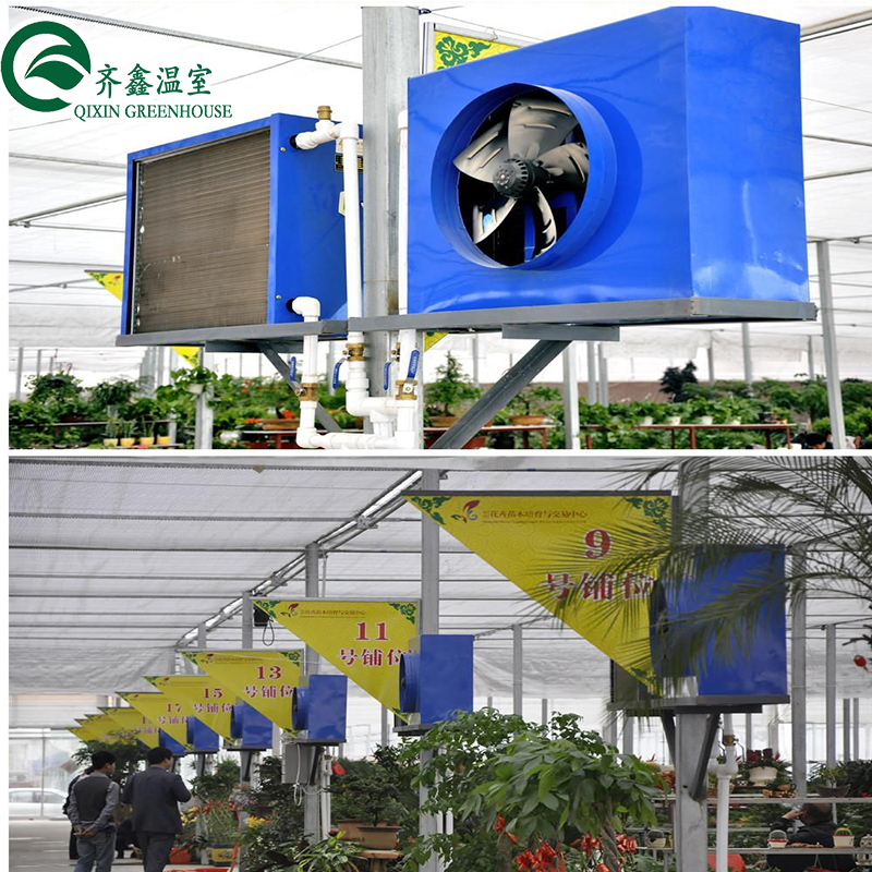 Multi-Span Greenhouse Film Customized for UV Protection and Optimal Growing Conditions