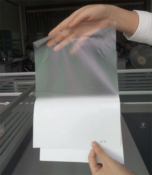 Transparent Printable Hologram Stickers / Destructible Vinyl Labels