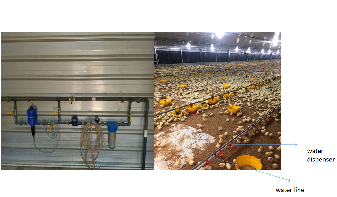 Industrial Livestock Steel Structure Farm House Use Colorful Panel