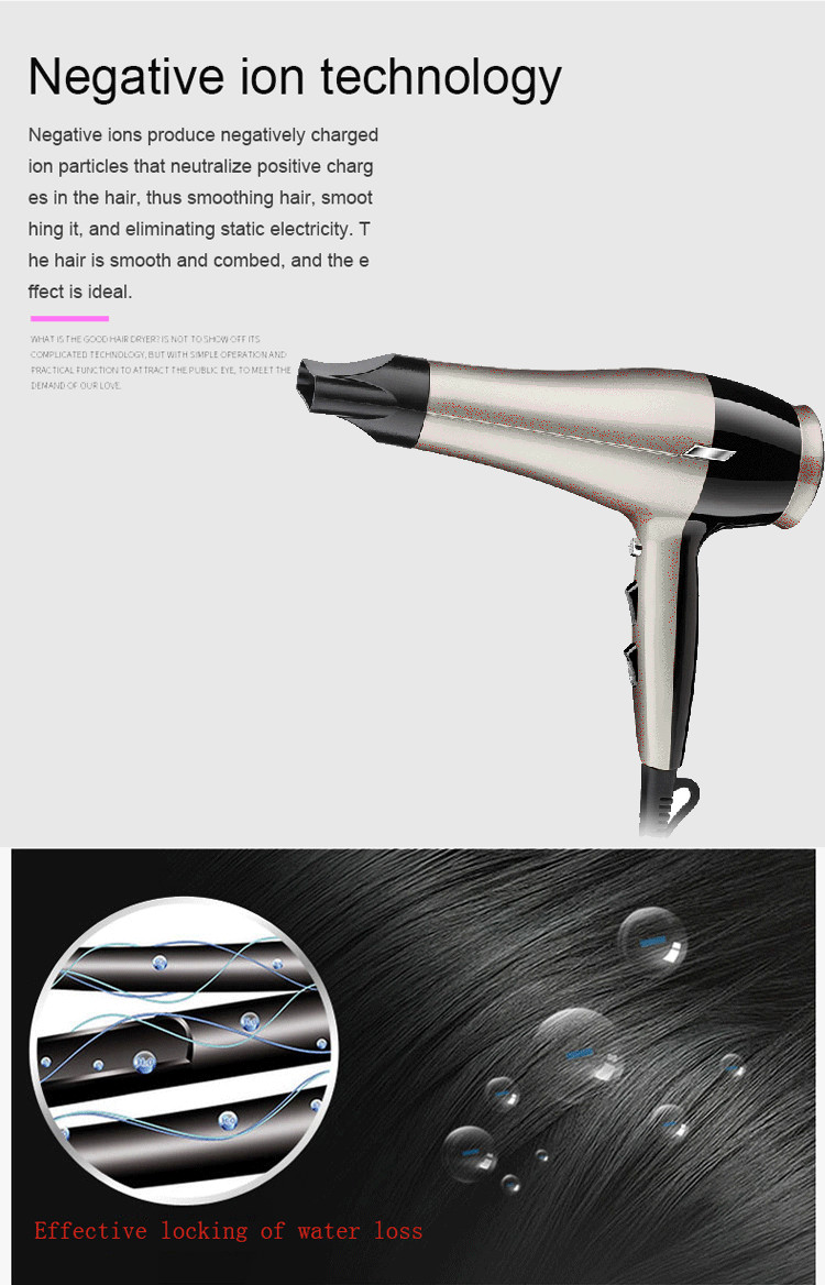 Professional Home Ionic Hair Dryer With DC Motor