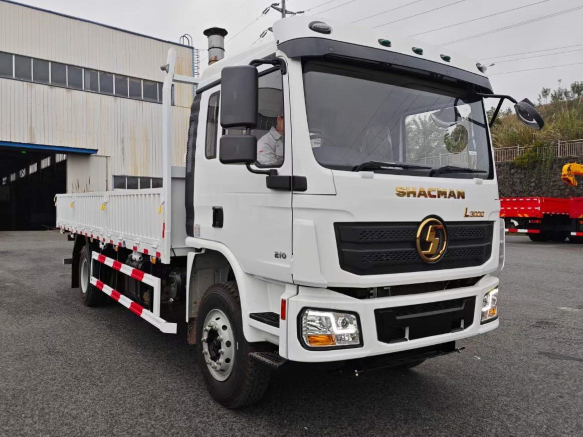 Shacman L3000 Electric Mini Cargo Truck 30Tons In Ethiopia With Forward Shift Number 10