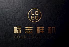 Automatic Foil Printing Machine Hot Foil Printing Machine Paper Bag Leather
