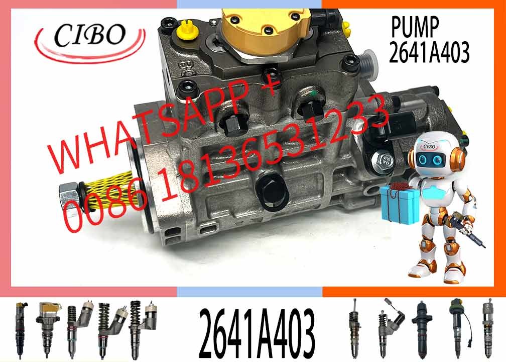 295-9125 2959125 Fuel Injection Pump 10R7659 10R-7659 2641A405 2641A403 for C6.6 C4.4 Diesel