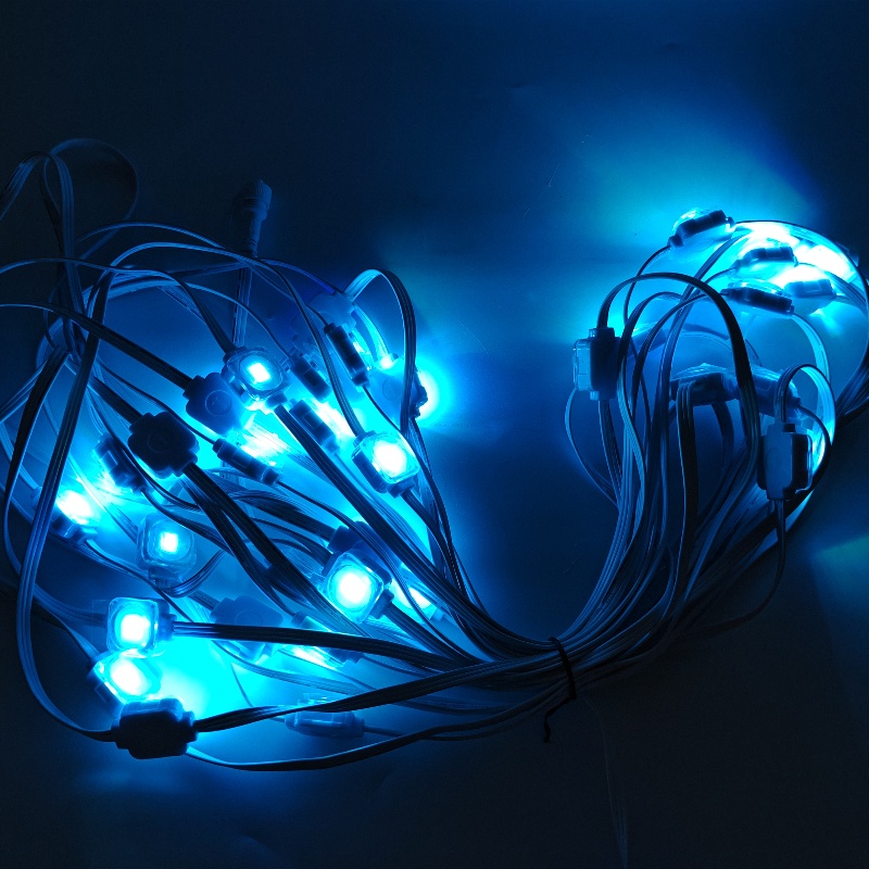 24V IP67 LED Outside Christmas Lights for Home Decoration SPI Control LED Suppliers