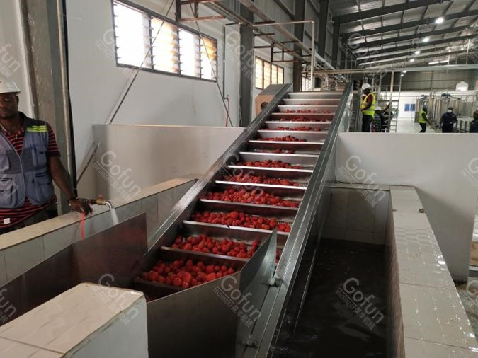380V Tomato Paste Sauce Concentrate Processing Line Stainless Steel 304 Material