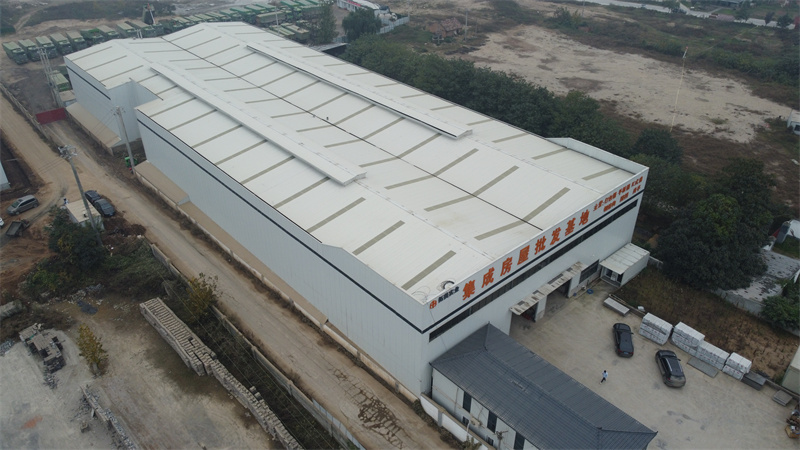 Standard Workshop on Special Appearance