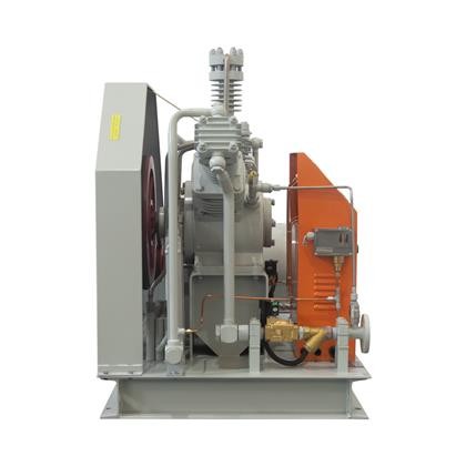 High Efficient Save Energy Booster Nitrogen Compressor Booster High Pressure Compressor