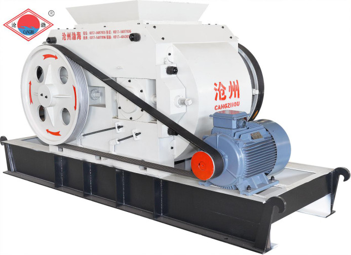 JKM Fly Ash Brick Plant Single And Double Roller Crusher Equipment