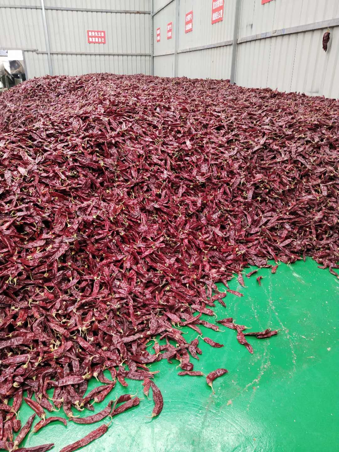 Air Or Sun Dried Dehydrating Chillies Natural Red Colour