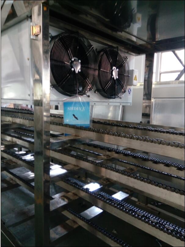 Fruit Juice Gummy Production Line