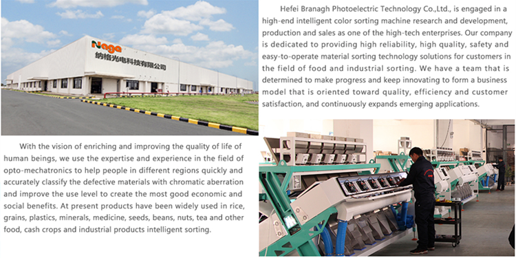 Ccd Color Sorter Machine Exclusively For Real Time Sorting Application