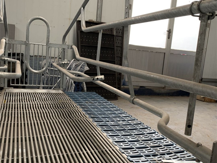 Adjustable Sow Joy Farrowing Crates With Plastic Slatted Flooring Long Using Time