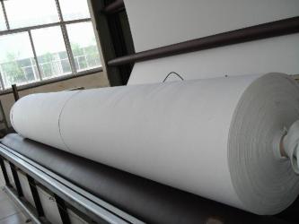 CHANGZHOU PIONEER TEXTILE TECHNOLOGY LTD