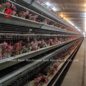 Buy cheap 96 Birds Poultry Battery Cage System Broiler Automatic Egg Hens A Type Rose product