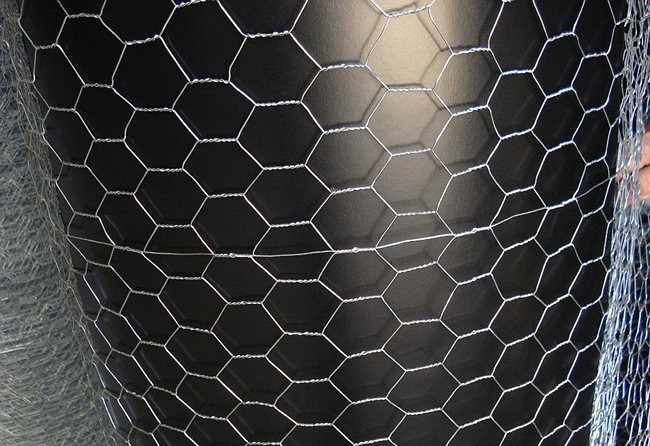 Hexagonal Galvanized Chicken Wire Mesh BWG 12 3/4"