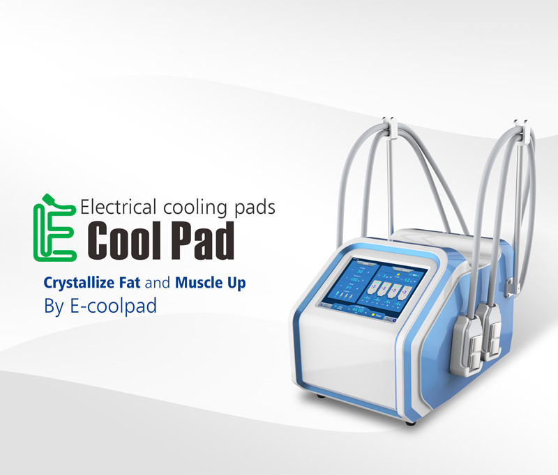 Cryolipolysis EMS Machine CRYO Beauty Salon Euqipment for Weilght Loss With 4 Handles
