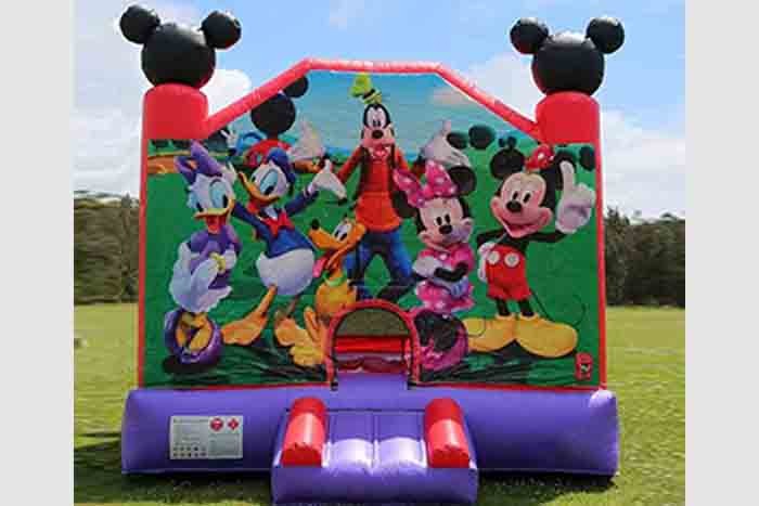 Commercial Adult Bouncy Castles Outdoor Party Indoor Sale Child Inflatable Bouncy Castle