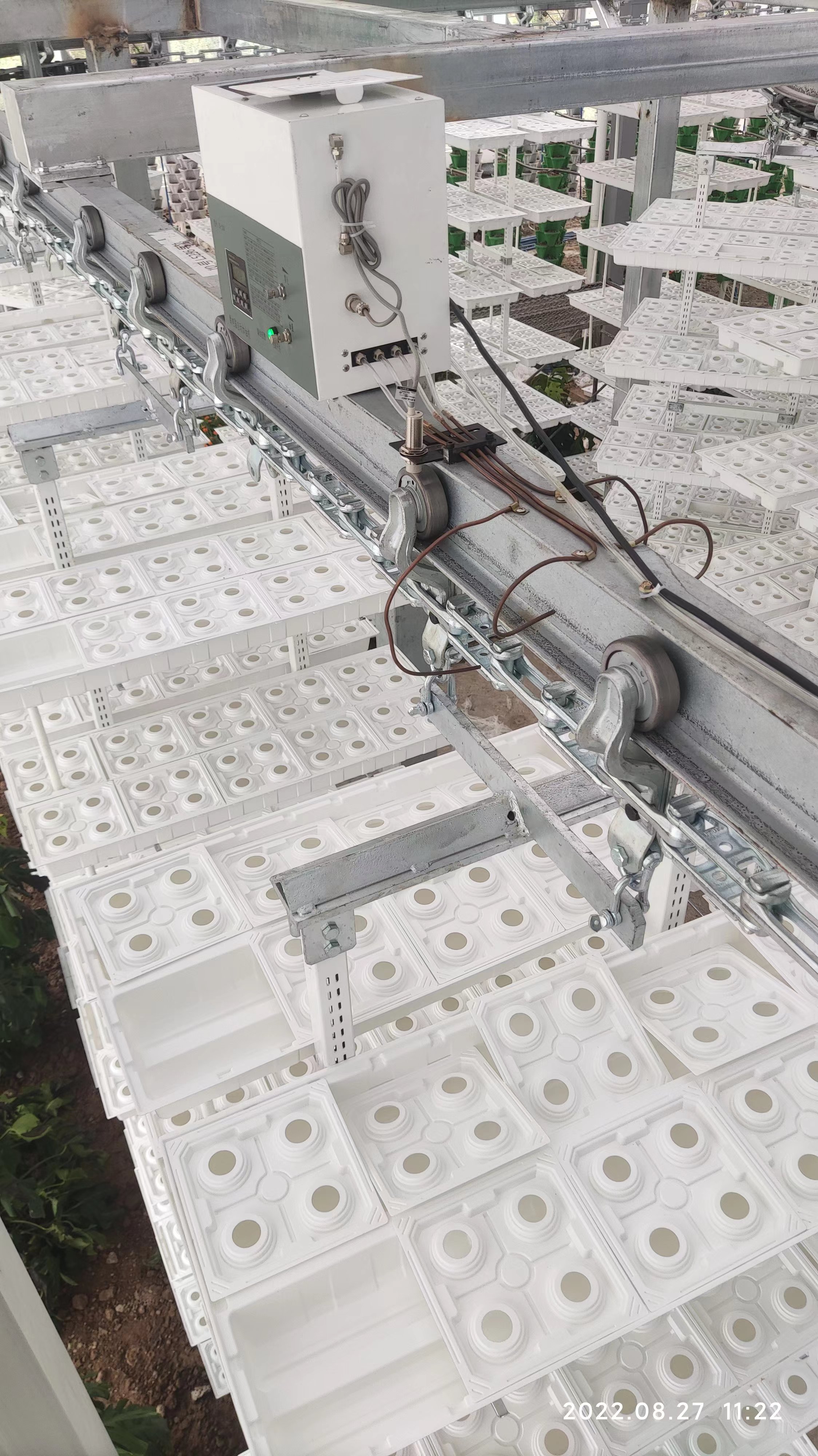 Vertical Farming Hanging Plant Hydroponic Intelligence Farming