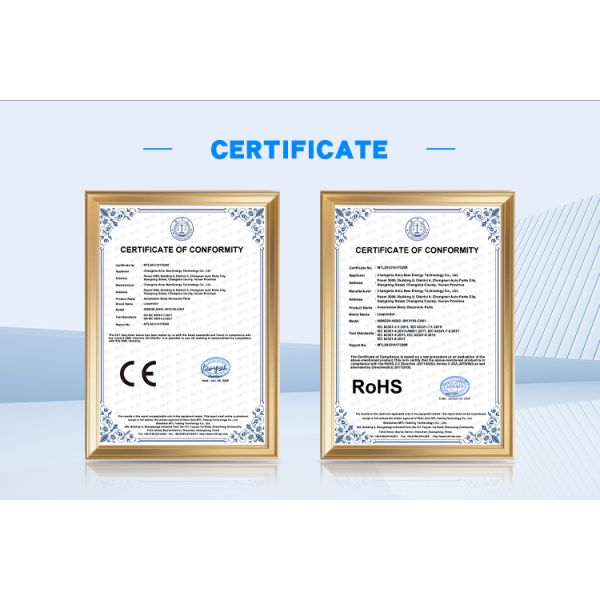 MPV Accessories for BYD Xia M9 High Quality TPE Rear Trunk Mat Anti-Slip Rubber Cargo Liner Interior Kits for New Energy