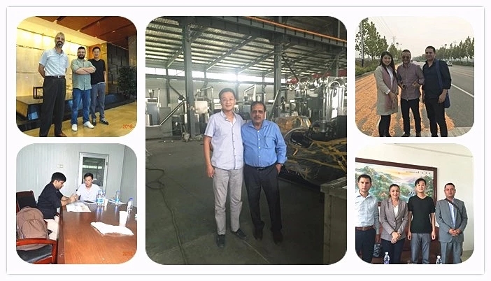 2-3t/H Dry Pet Food Processing Line Adopts Corn Flour Raw Materials