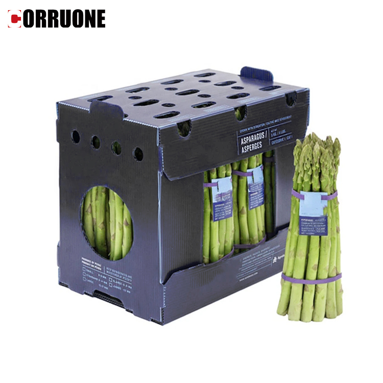 PP/PE plastic box for Fruits and vegetables