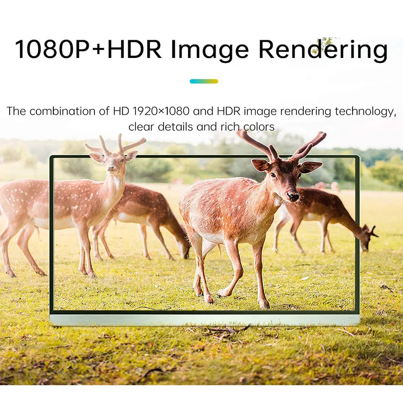 15.6 Inch 4K Type C HDR Portable Dual Screen Monitor Touch LCD Screen For PS5