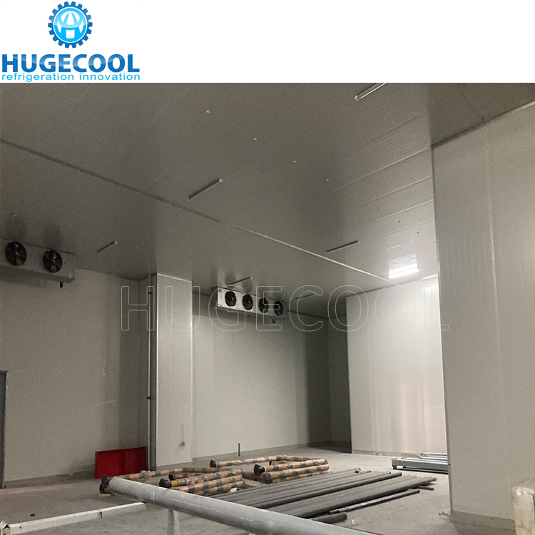 Seafood Cold Storage Walk In Freezer Meat Ice Cream Freezer Room
