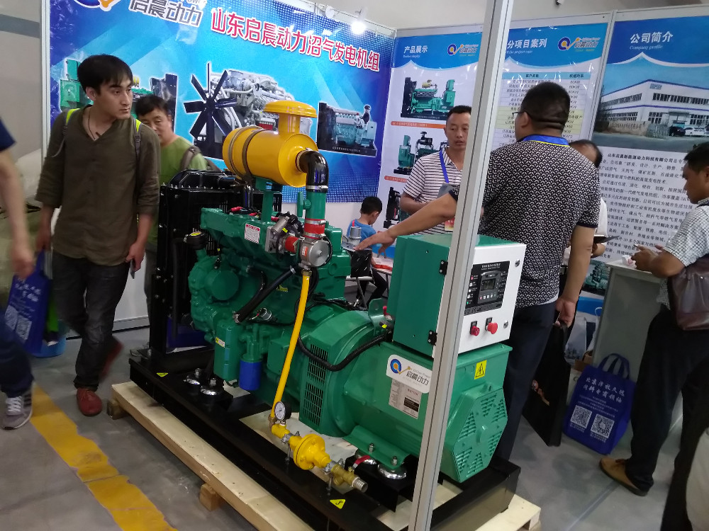 Silent Natural Gas LPG Generator as Home Standby Generator