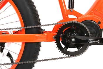 Aluminum Alloy Frame 26*4.0 Fat Tire Electric Bike with Customized Multicolored Design