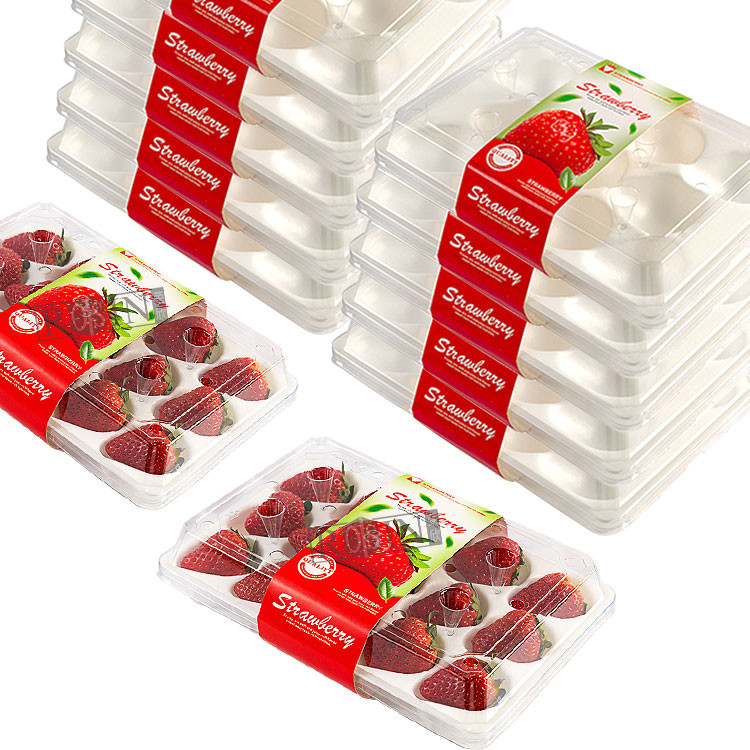 Strawberry Disposable Fruit Salad Containers Transparent PET With Inner Tray