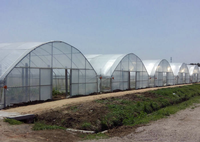 9x30m Plastic Tunnel Greenhouse Covered Plastic Film For Vegetable Growing