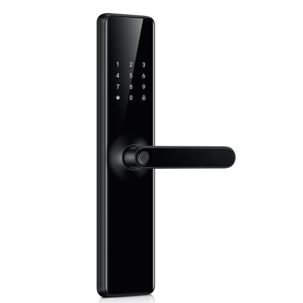 Waterproof Tuya Wifi Door Lock With Fingerprint And Password